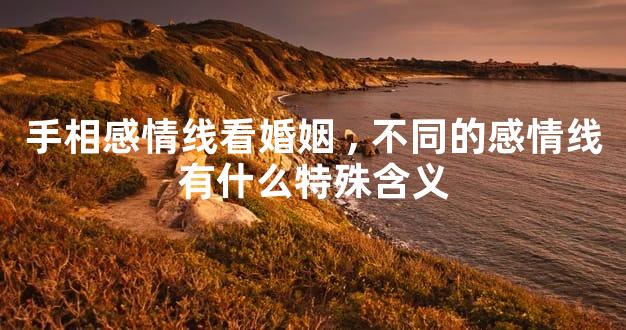 手相感情线看婚姻,不同的感情线有什么特殊含义